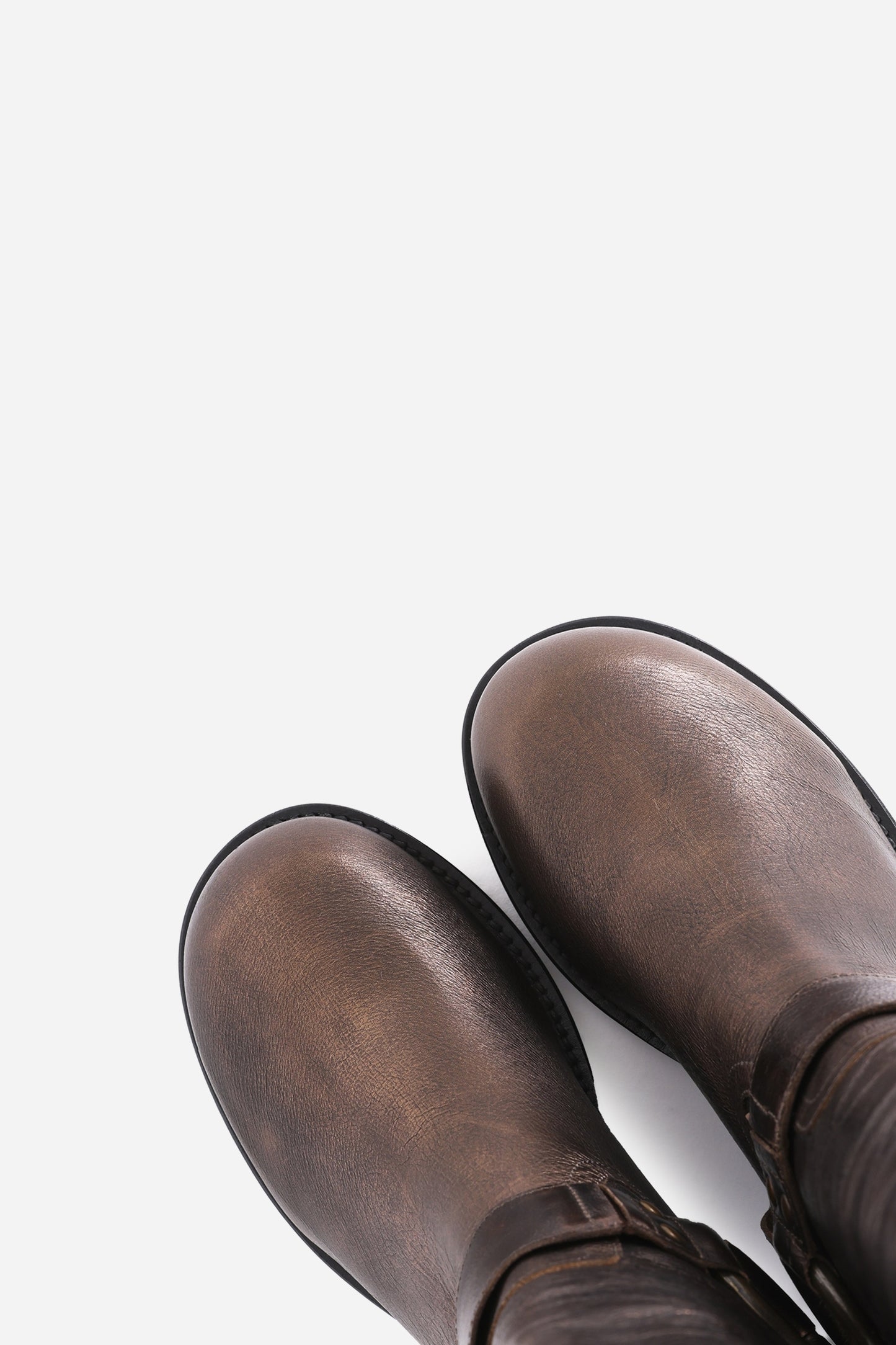 new-camperos | bronze/black