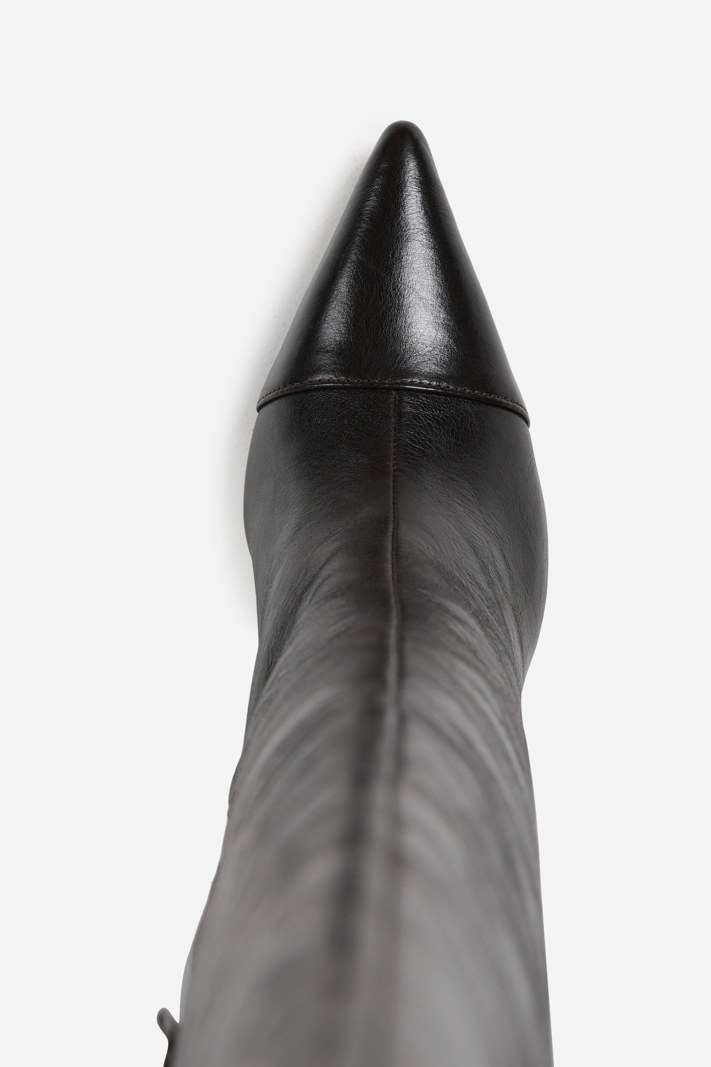 aly-cia | coffee bean