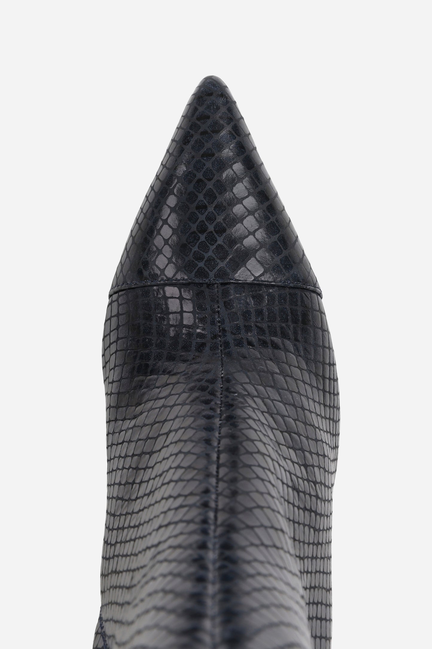 aly-cia | midnight blue