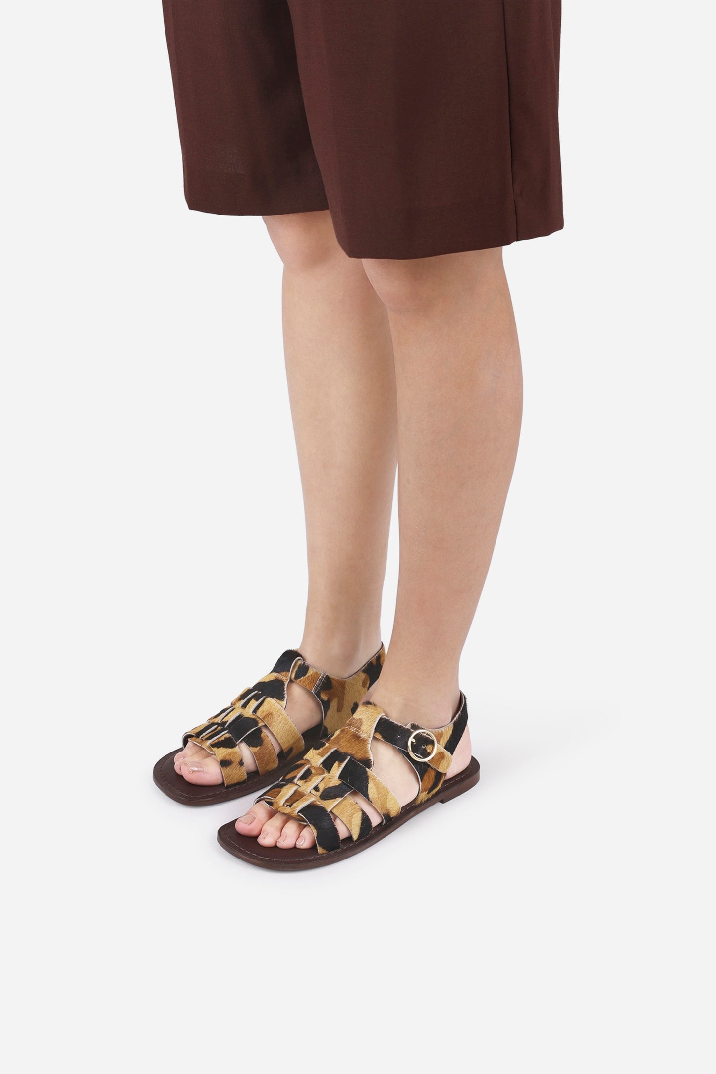 zinn-ia | oatmilk/brown/black