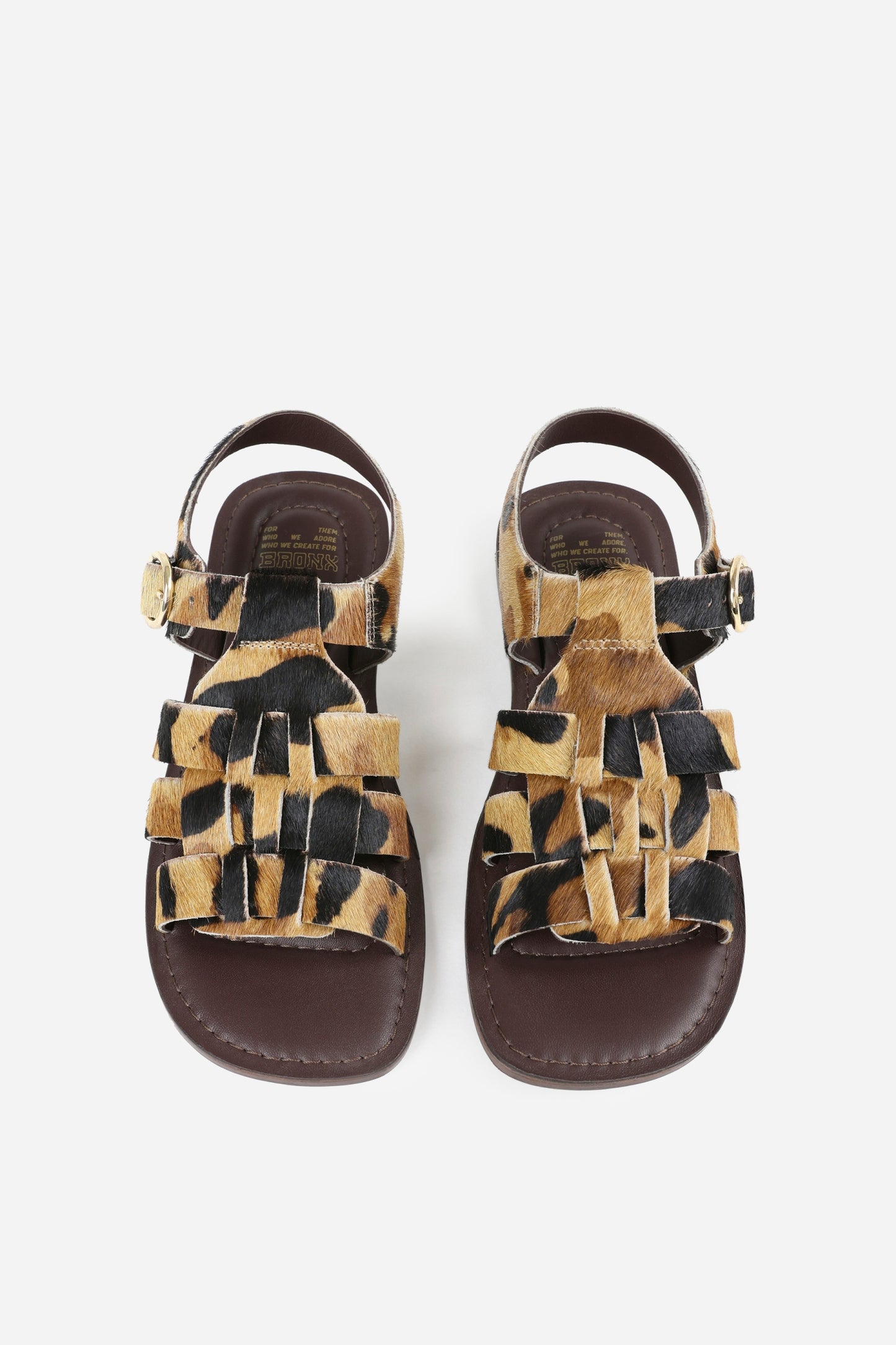 zinn-ia | oatmilk/brown/black