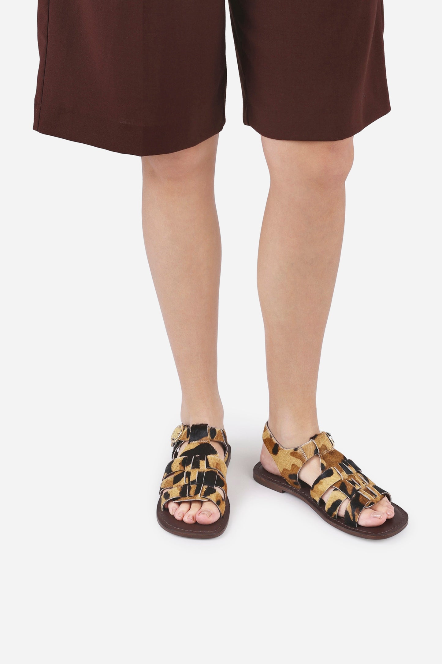 zinn-ia | oatmilk/brown/black