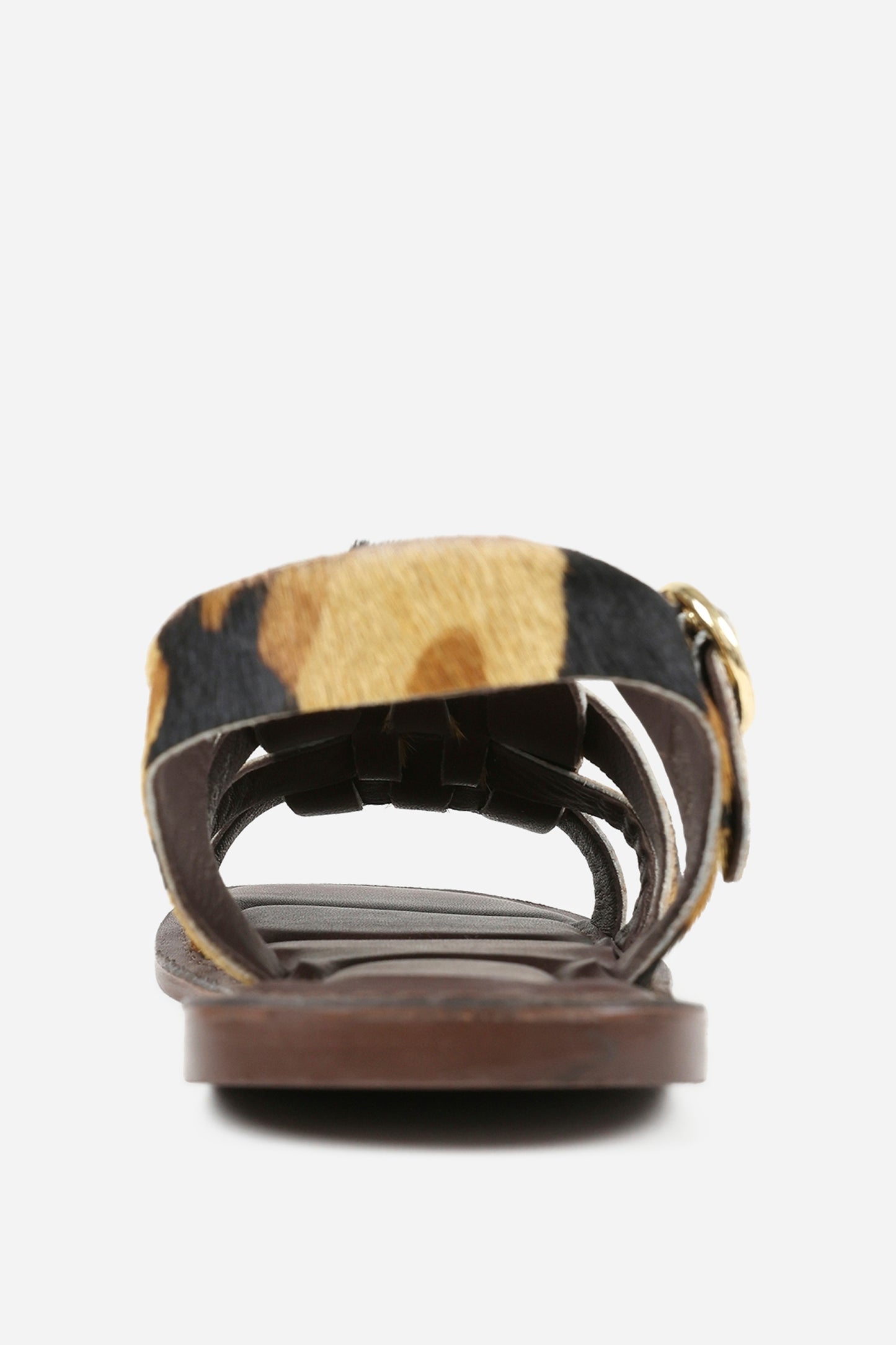 zinn-ia | oatmilk/brown/black