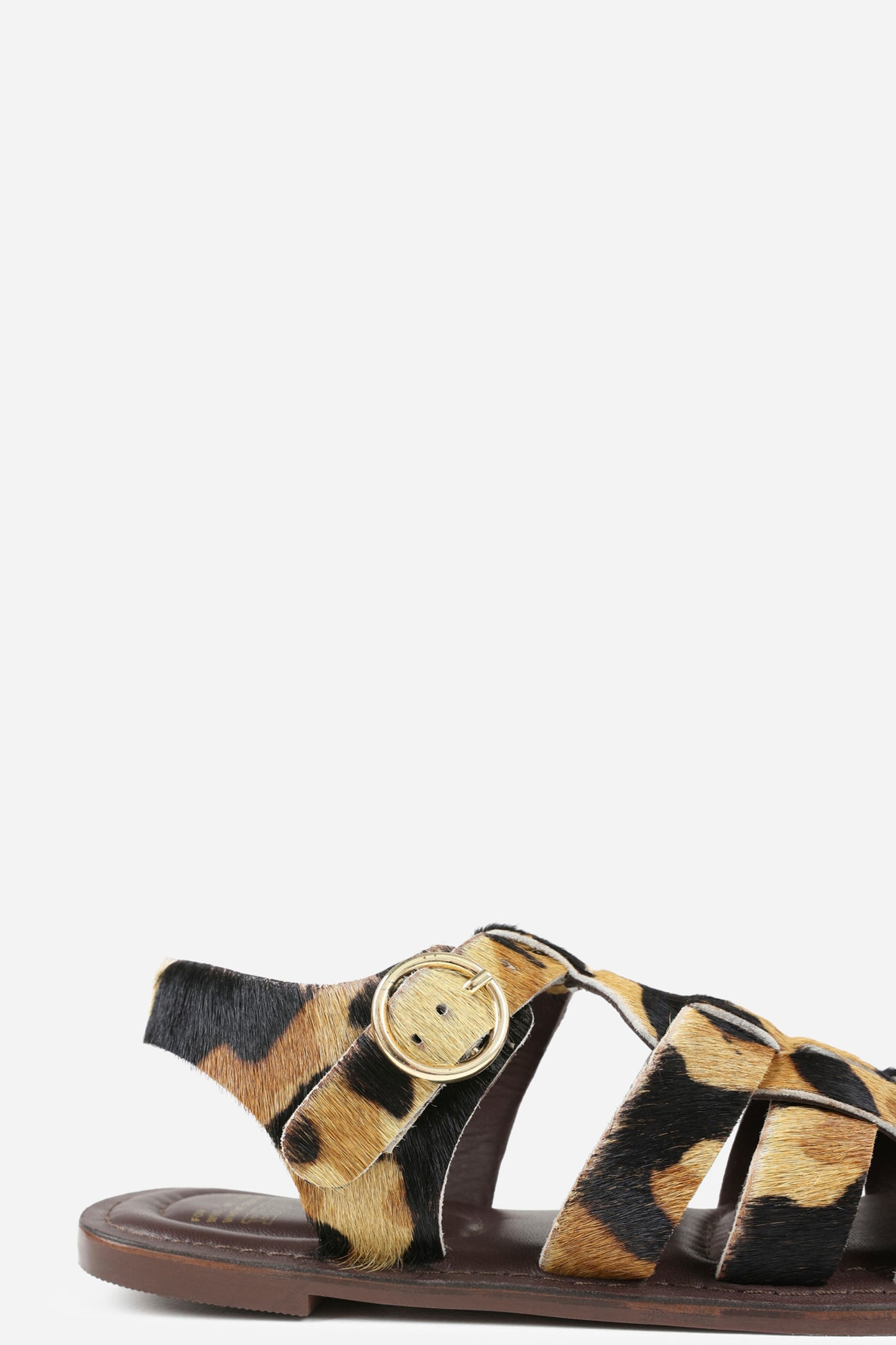 zinn-ia | oatmilk/brown/black