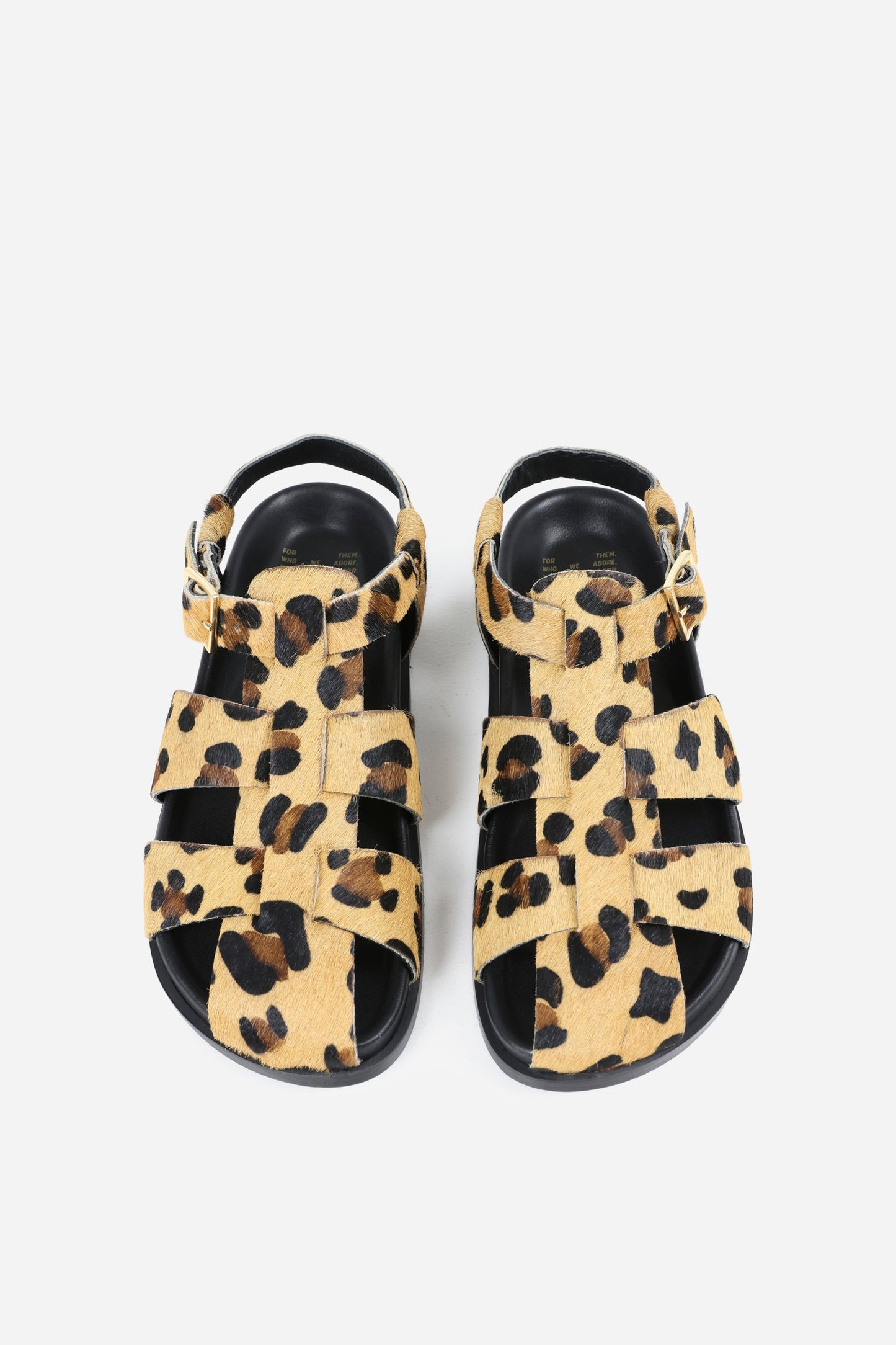 yla-na | brown/oatmilk/black