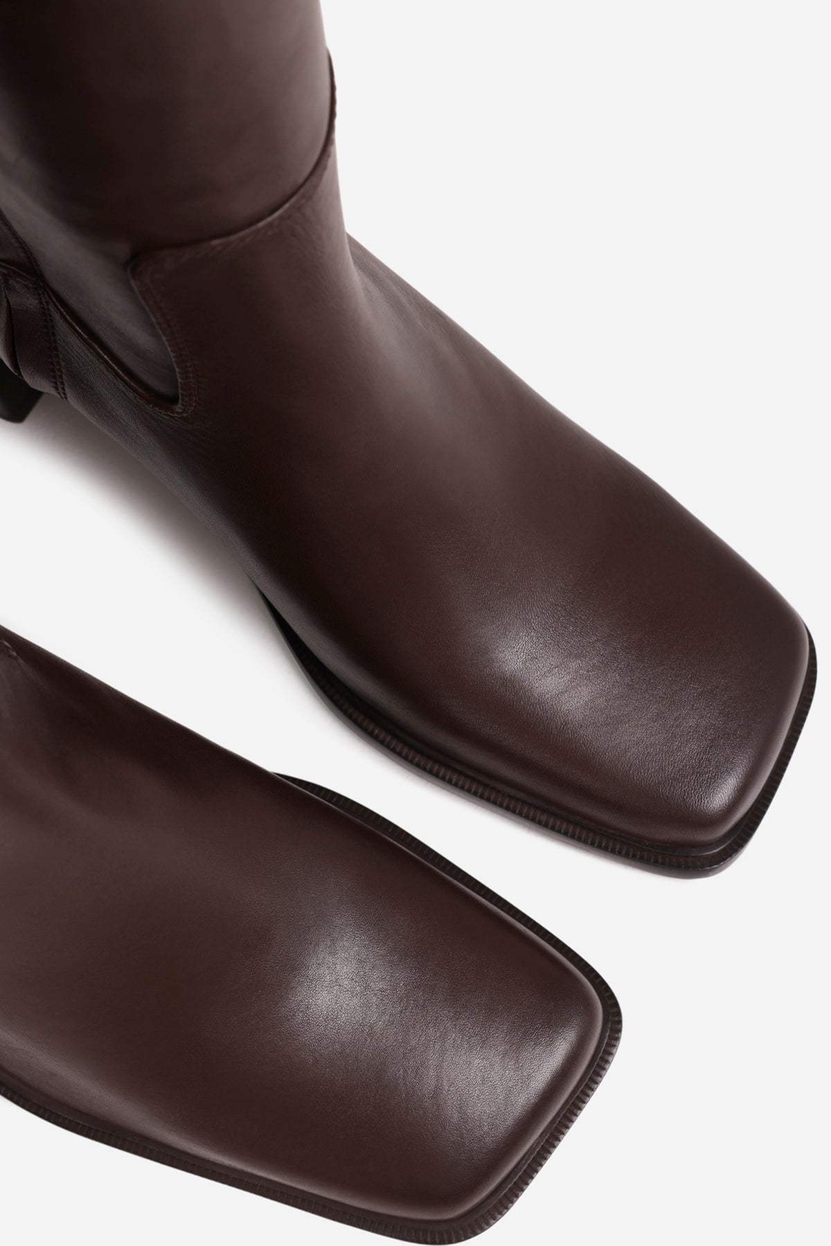 new-corfu | coffee bean
