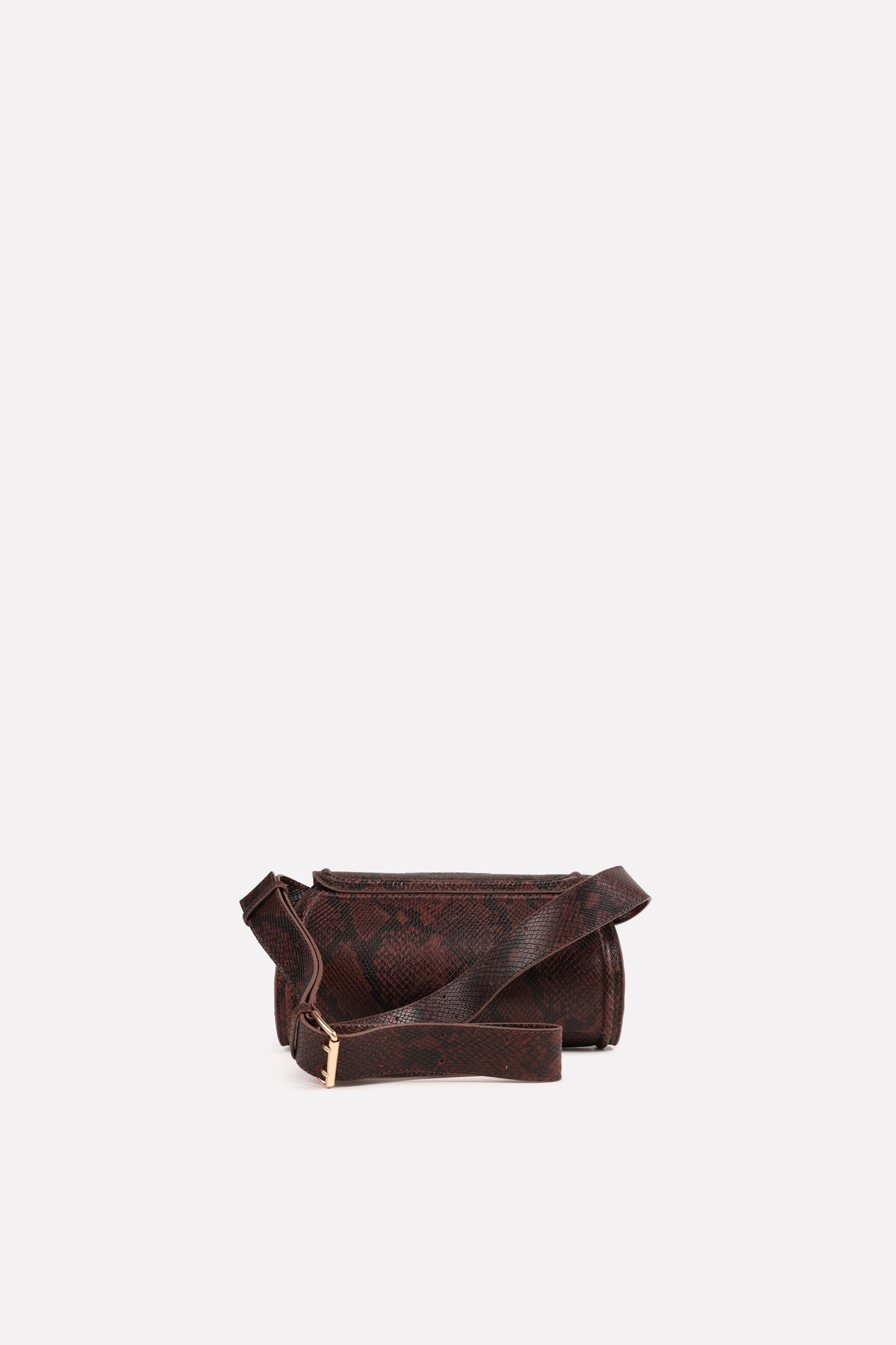 noem-ii | coffee bean