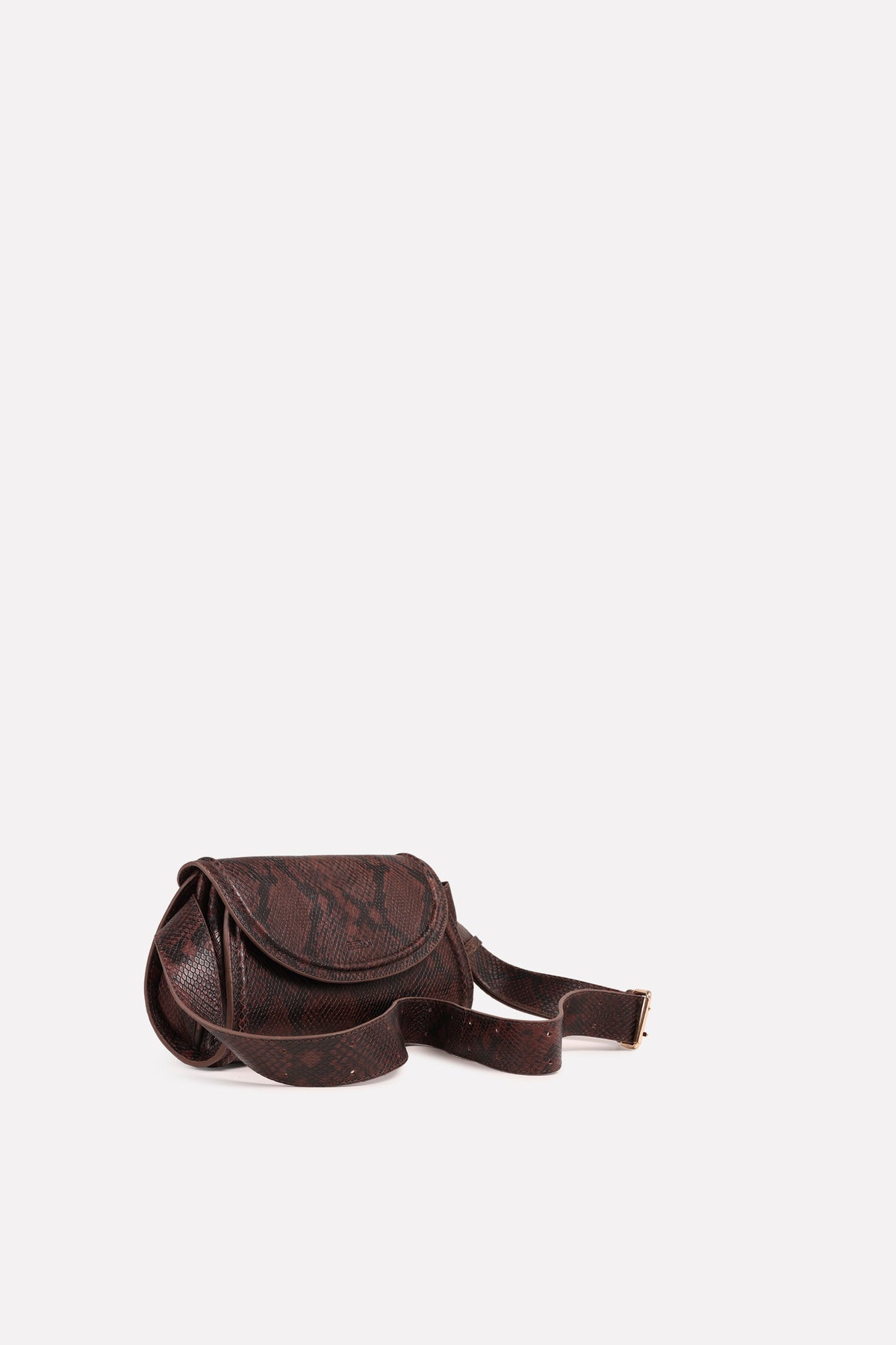 noem-ii | coffee bean