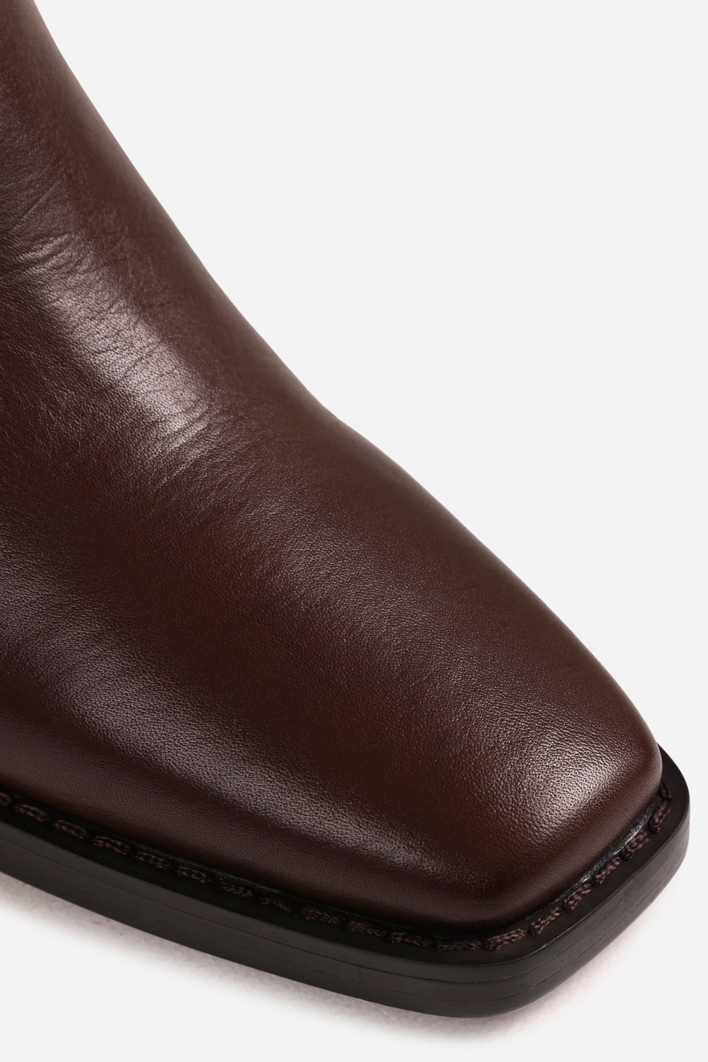 Cassi-dy | coffee bean