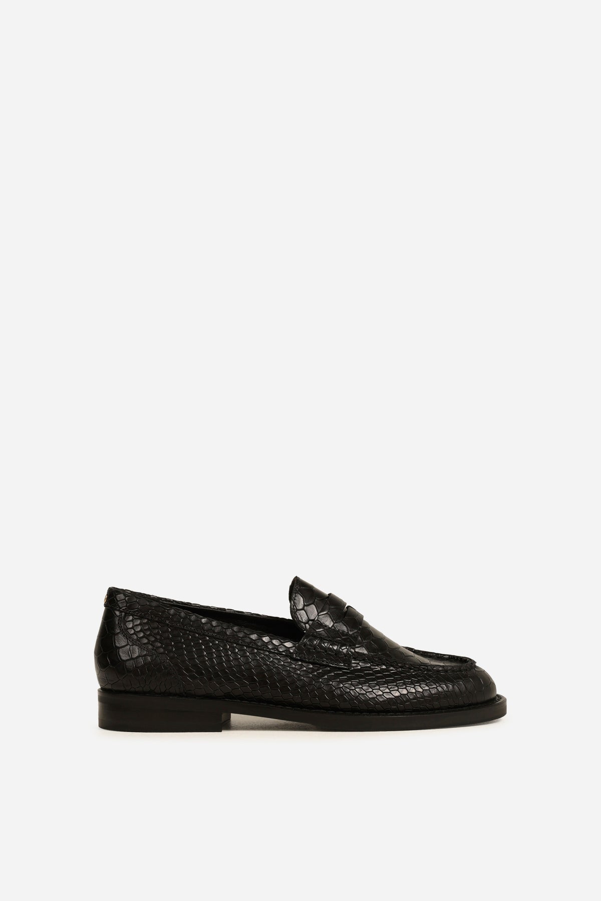tran-sitt | black
