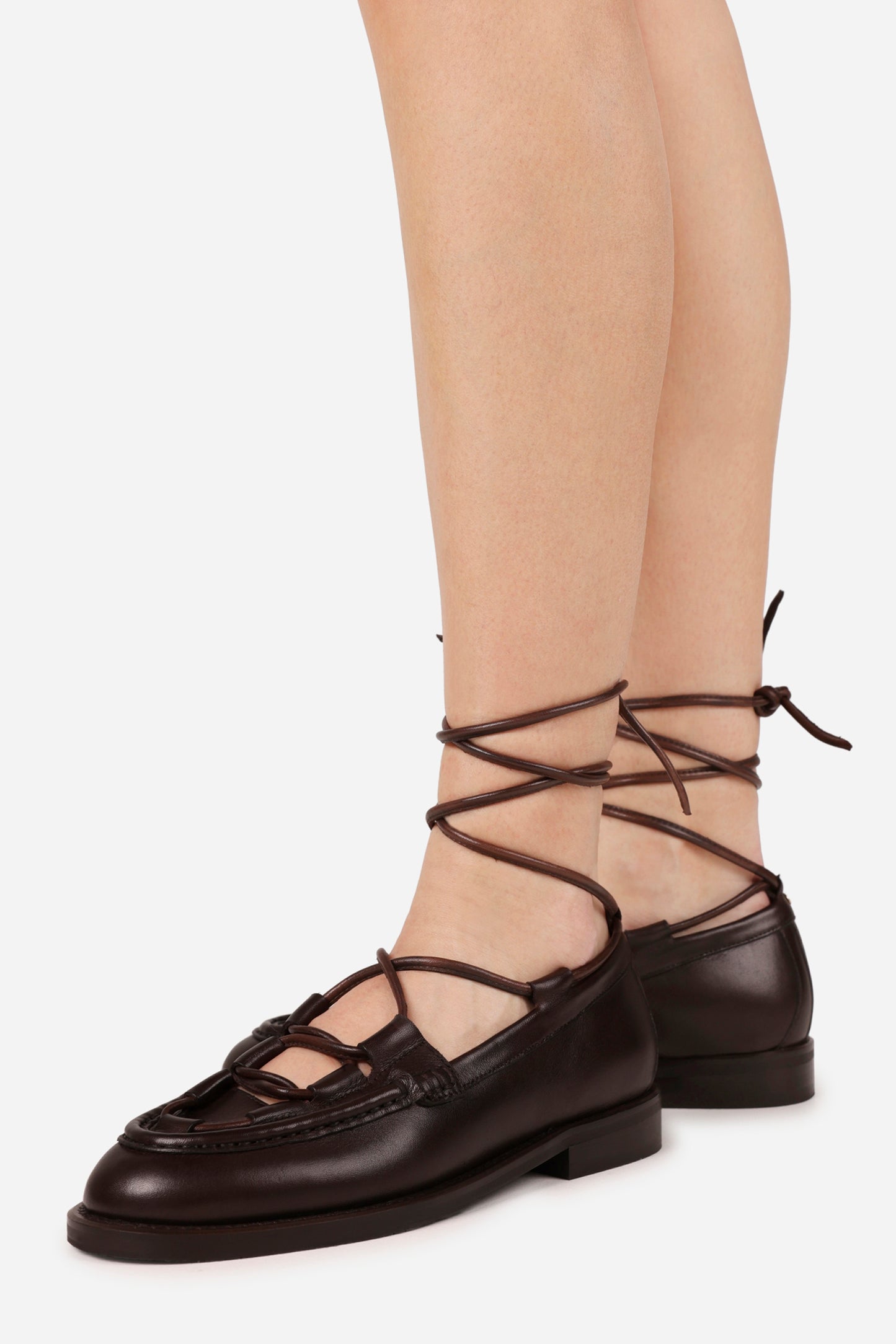 tran-sitt | coffee bean