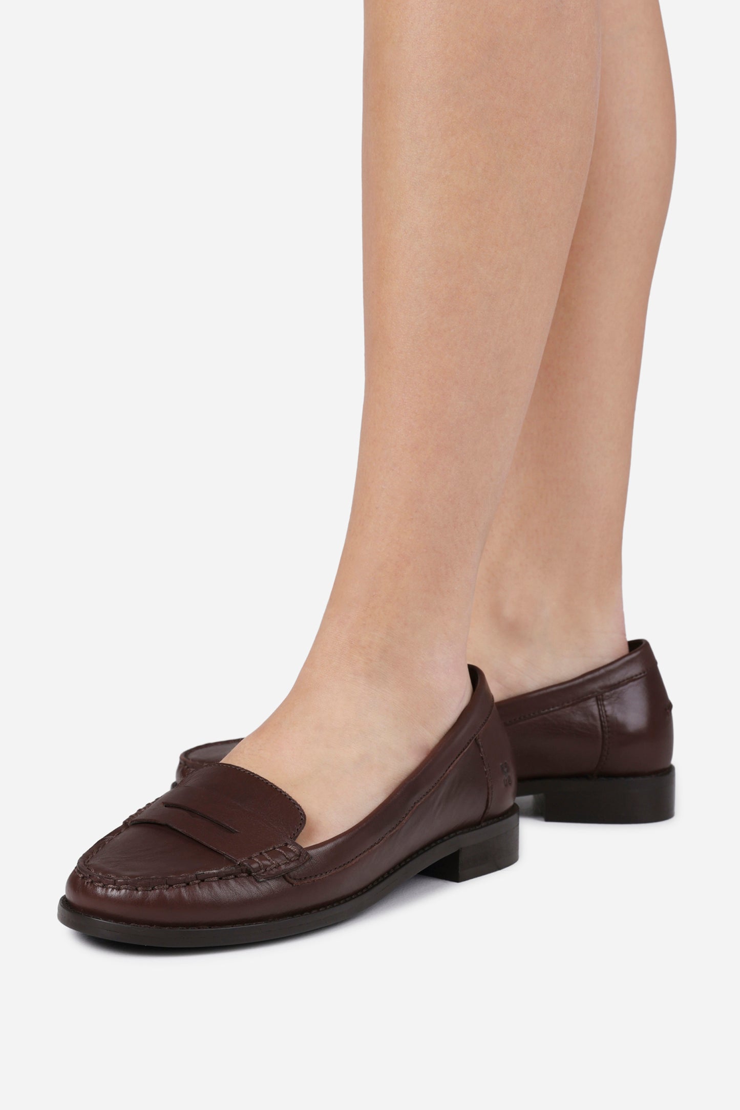 new-rana | coffee bean