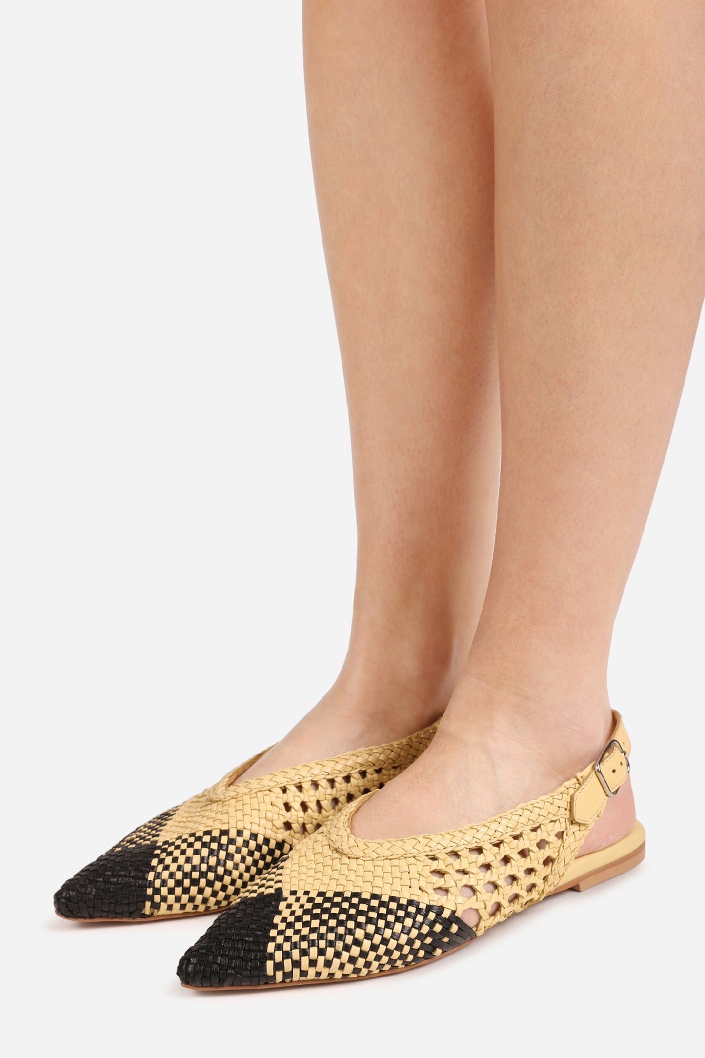 amme-line | butter yellow/black