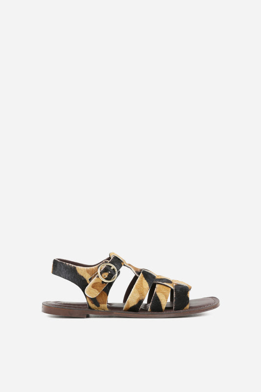 zinn-ia | oatmilk/brown/black