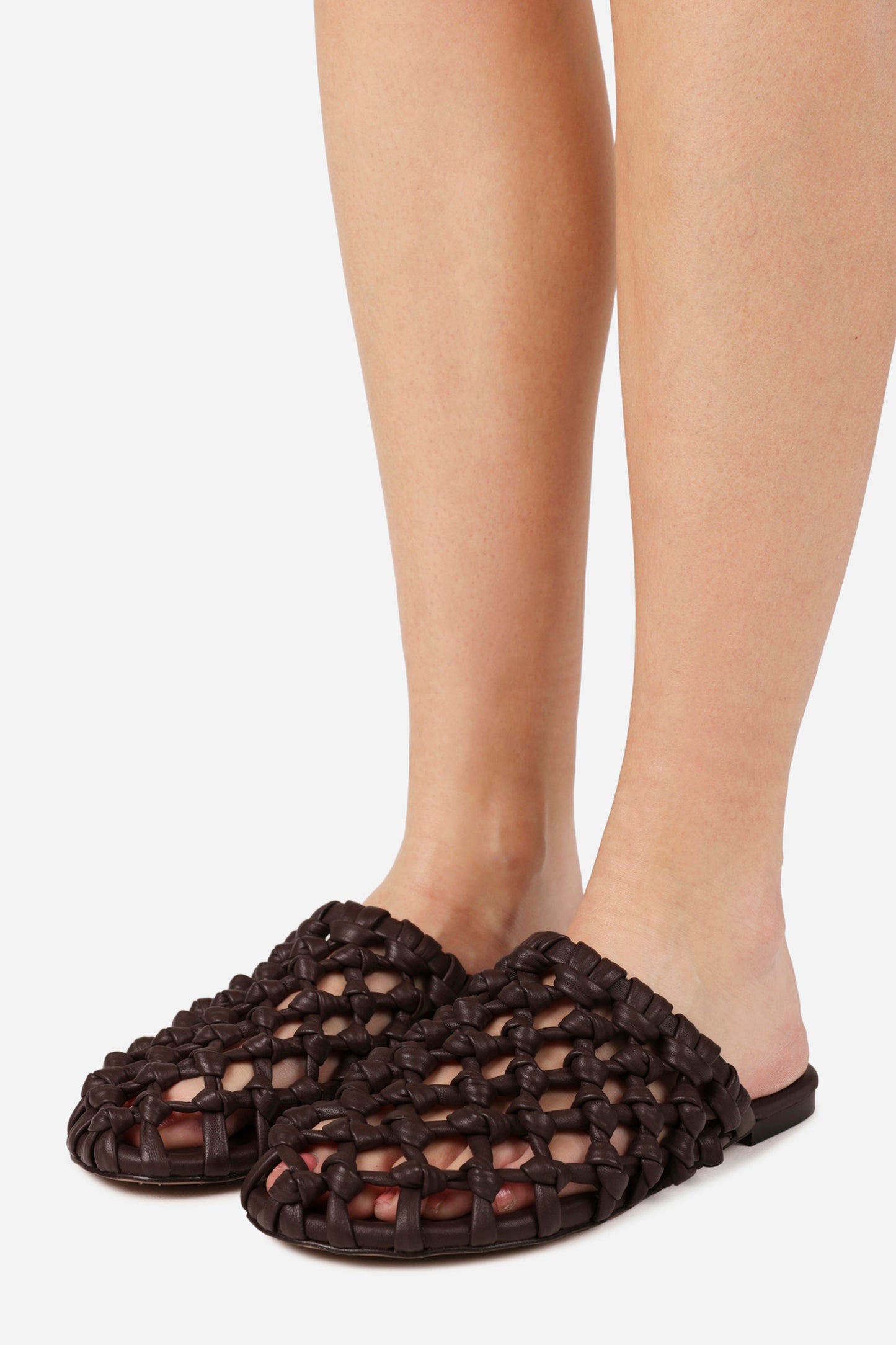 ann-aya | coffee bean